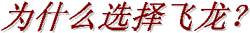 为什么选择飞龙?